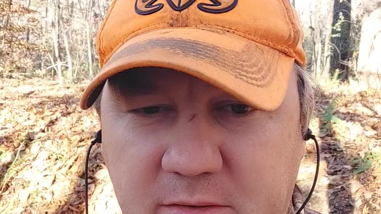 Happy Sunday, November 17, 2024