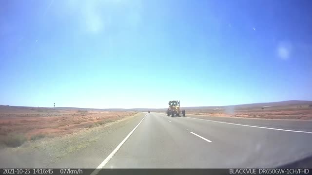 Outback Obstacle As Emu Darts Out