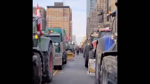 🔥THẾ GIỚI SINH ĐỘNG🔥 05-02-2022 BIỂU TÌNH PHẢN ĐỐI CƯỠNG CHẾ VX & HỘ CHIẾU Y TẾ