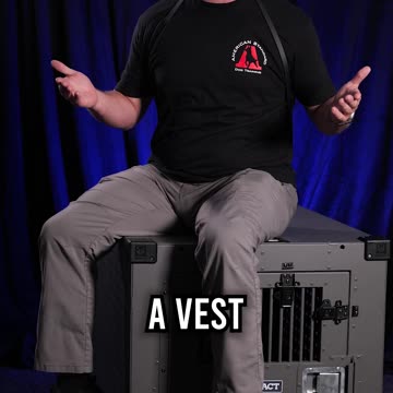 Are There Benefits to Service Dog Vests or IDs?