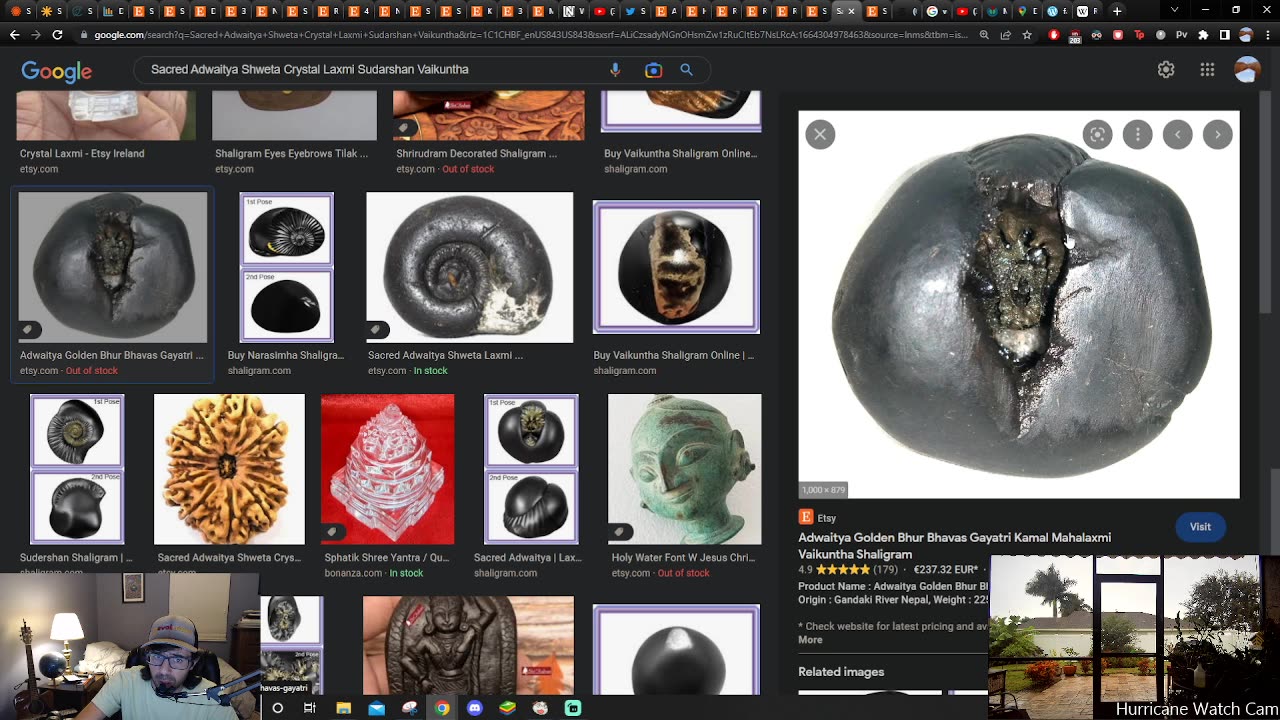 Shaligrams Are Not Fossils (Part 1)
