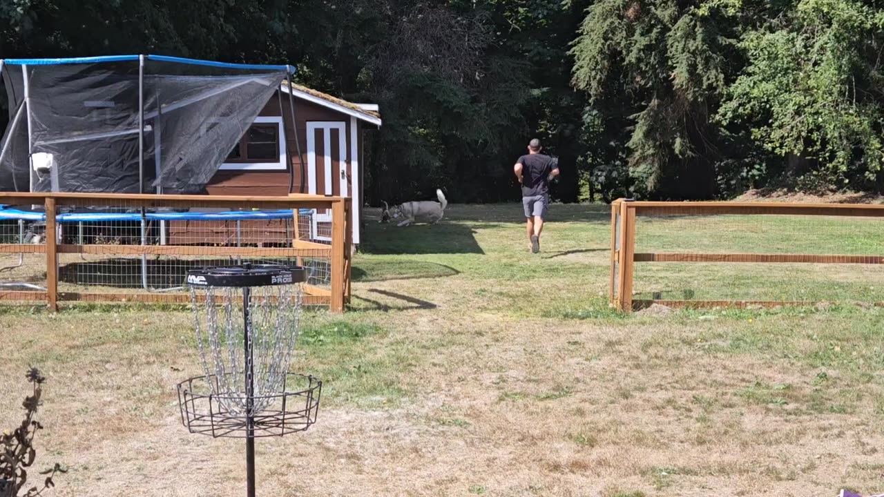 Back Yard Disc Golf Ace