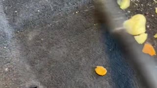 Disgusting Car Gets a Deep Clean