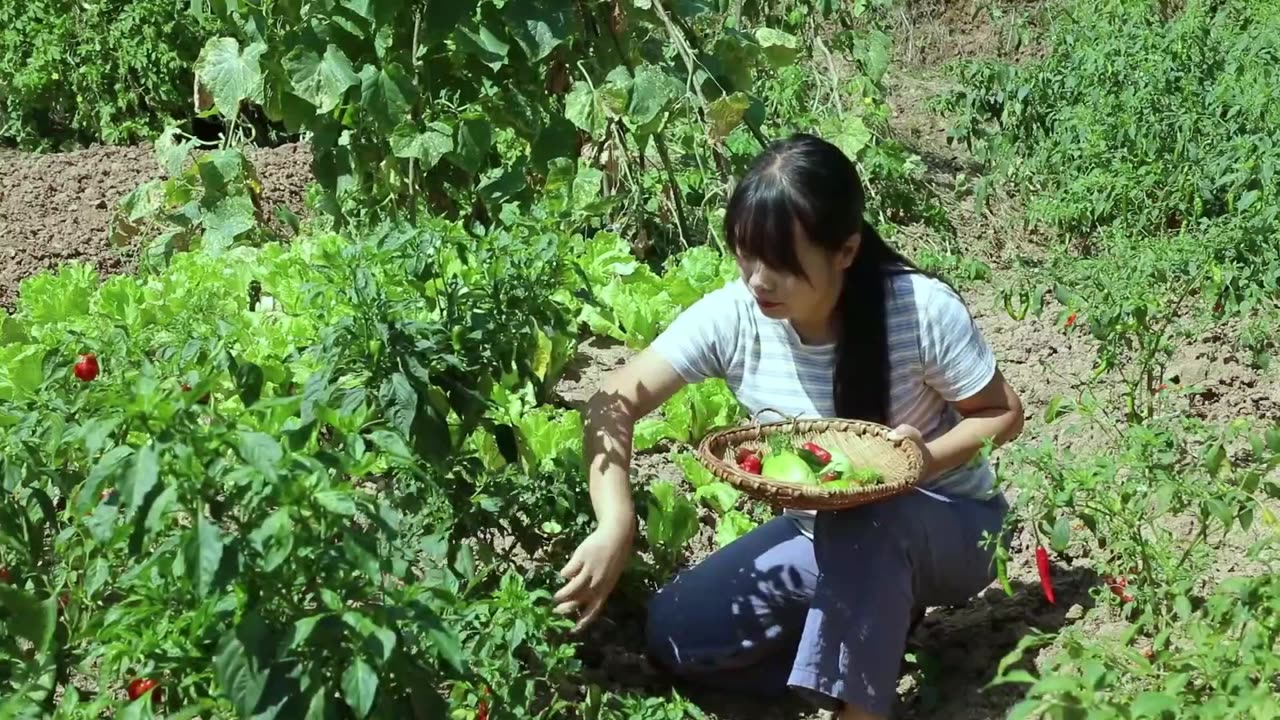 Watermelon uses the sun to dry large, sweet watermelons into “salty watermelon jam.”