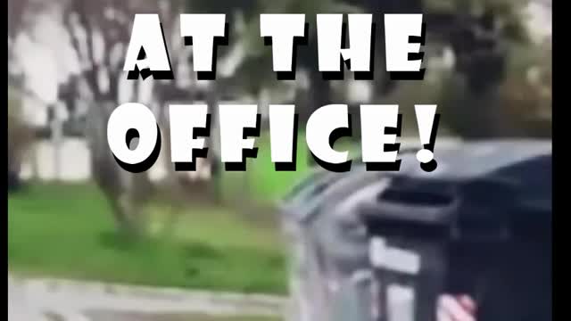 Just another day at the office!
