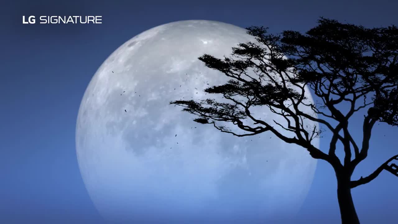 LG SIGNATURE - The Art of Essence