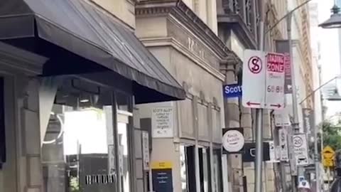 A cockatoo has been filmed causing chaos in Melbourne's CBD,