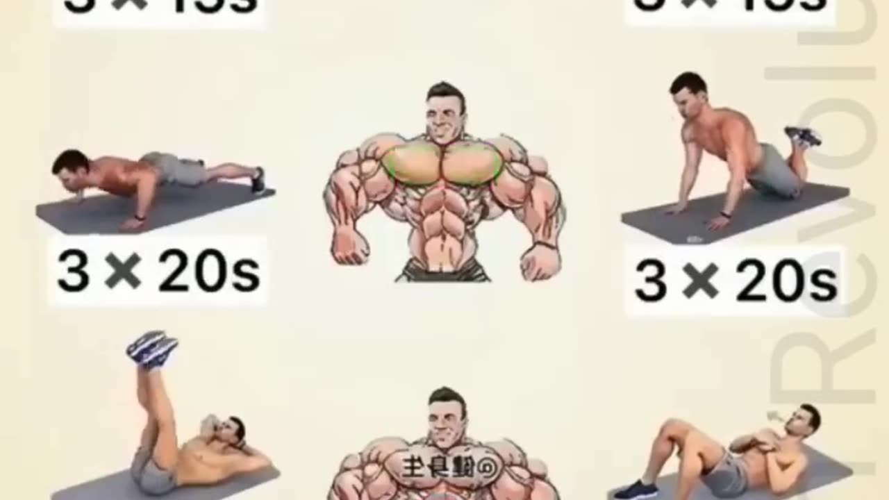 Muscle gainer