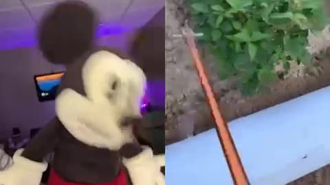 Mickey Mouse , hilarious tiktok reaction 😂