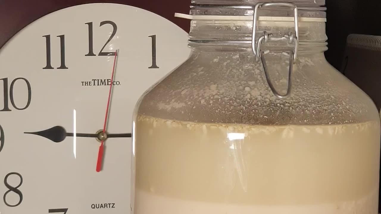 막걸리 누룩 발효 10일 90배속. Makgeolli yeast fermentation 10 days 90 times faster. 막걸리 누룩 발효 10일 90배속