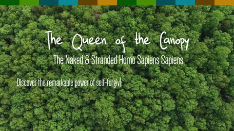 The Queen of the Canopy