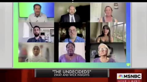 UNDECIDED MSNBC SURVEY = BIDEN OUT!