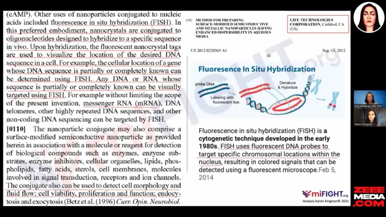 Summary by Karen Kingston & Dr. Ana Mihalcea