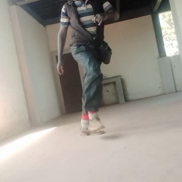 🐈😺 catwalks & 🐶🐕 dogwalks