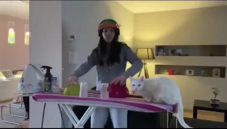 Cat Attempts to Jump. Looks so Funny