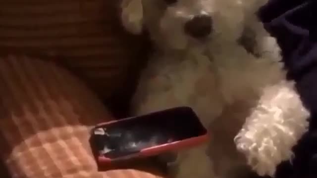 Scared the hell out of the baby