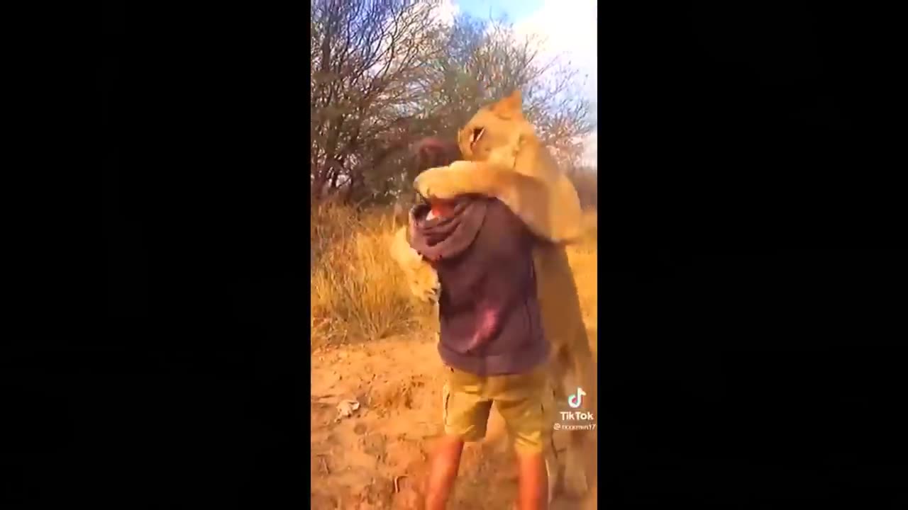 Animals Reunited With Their Owners After Years