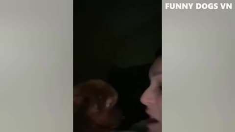 Funniest Animals Videos😂 - Best Cats😹 and Dogs🐶 Videos 2022!