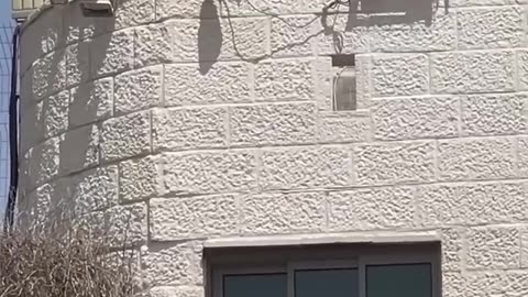 Israel is testing AI remote guns on Palestinian civilian