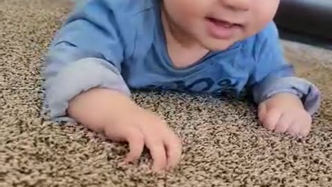 Ready to crawl