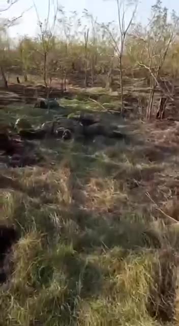 The bloody failure of the offensive of the Armed Forces of Ukraine on Kherson