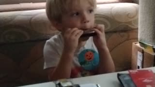 Toddler plays harmonica