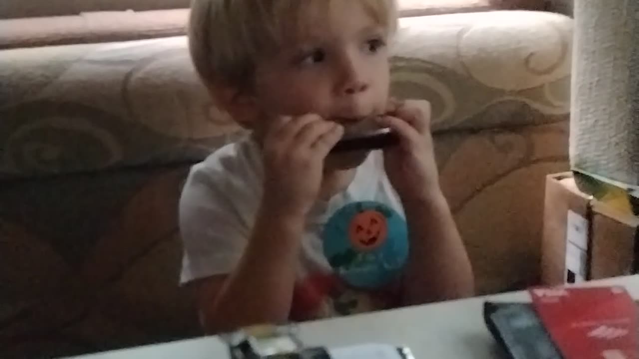 Toddler plays harmonica