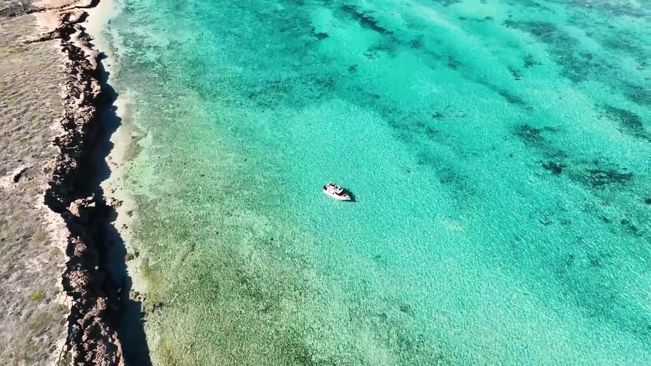 Catching Giant Lobsters For Food On Remote Island