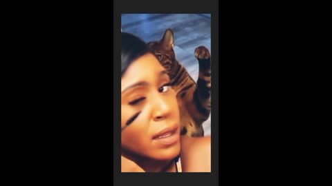 The cat was jealous and slapped its owner while putting on makeup