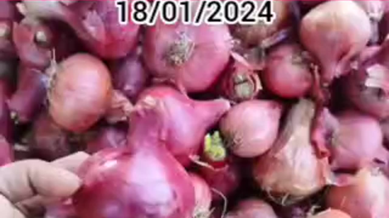 Today garlic onion potato mandi rate 2024