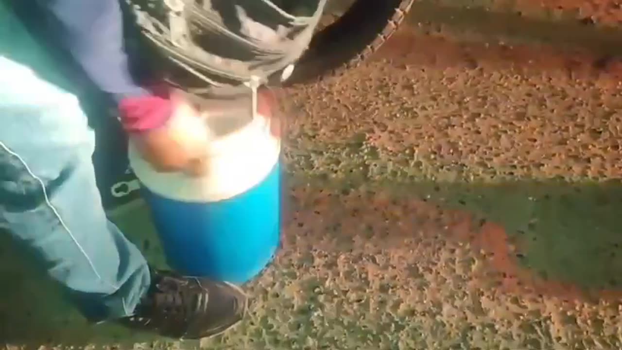 desaparecida