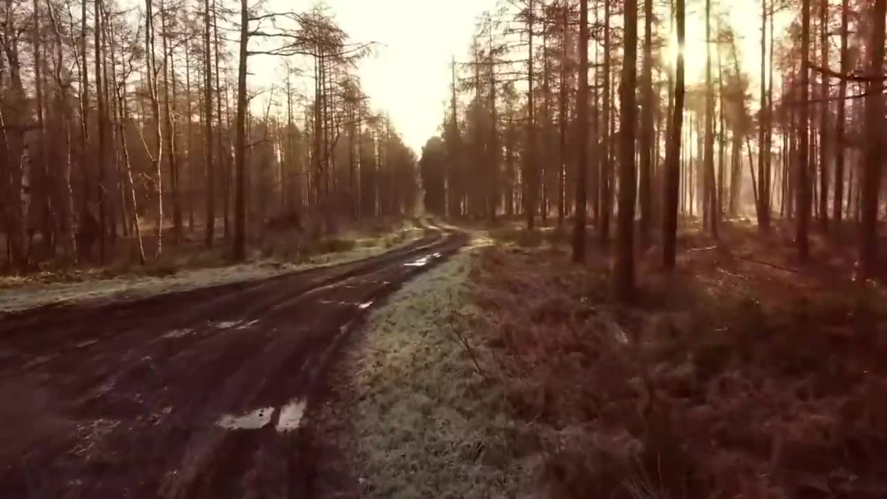 nature videos