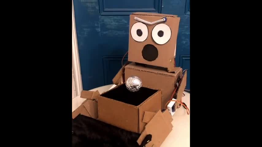 Amazing Cardboard Robot Does Magic Tricks