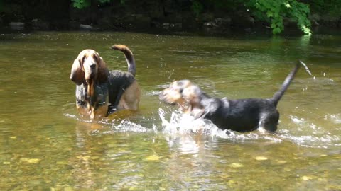 Sasha's first swim