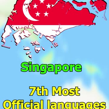 Country with most languages(Official)