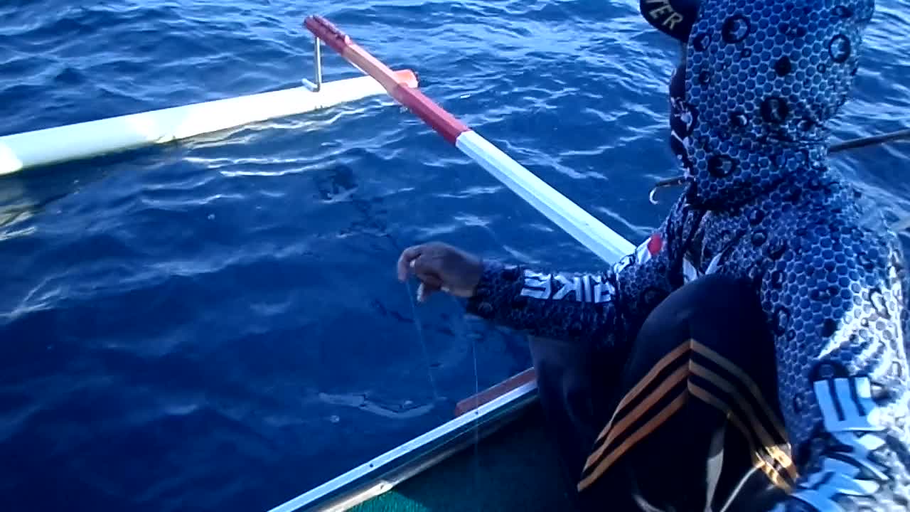 Skipjack Tuna fishing Part 3