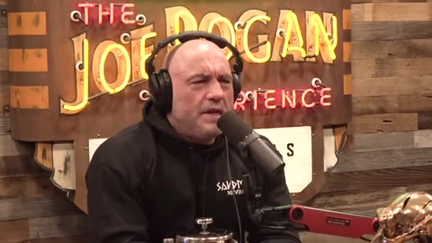 Why Stars Get Addicted To HEROIN! Joe Rogan & Pauly Shore #jre