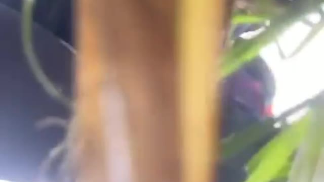 acidentes de caminhao