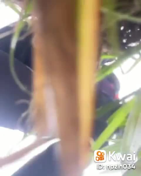 acidentes de caminhao