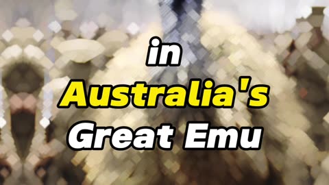 Weird History Facts Part- 01