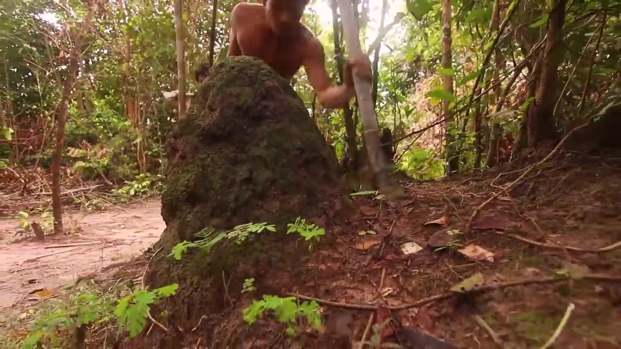 Phd video1234