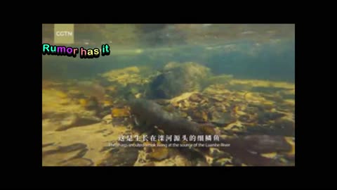 There's never a shortage of green in Saihanba, the largest artificial forest in the world