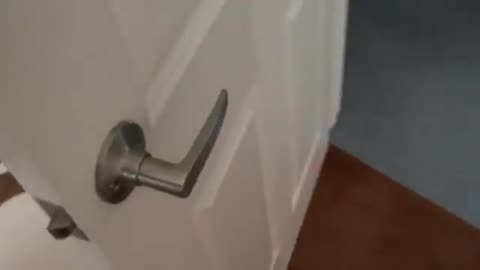 How to open a door