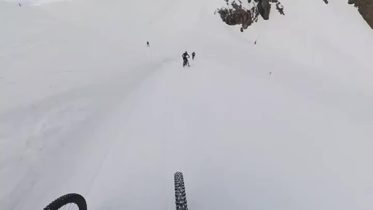 CRC vídeos curiosos