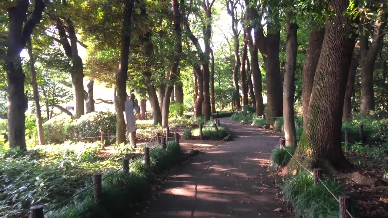 Imperial Palace and Kitanomaru Park in Tokyo, Japan