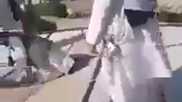 Taliban on Trampoline