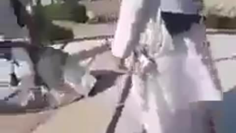 Taliban on Trampoline