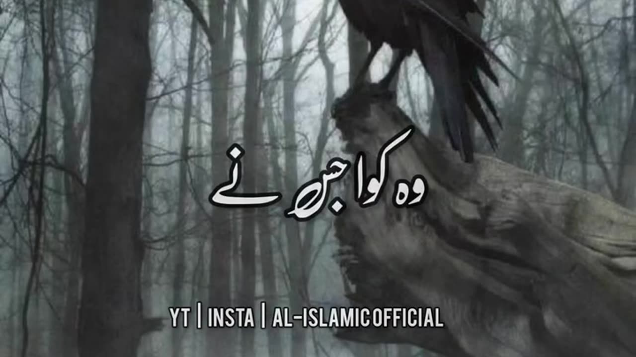Wo 6 Cheez Jo Allah Tala Ne Bina Maa Baap Ke Paida Farmaya - Urdu Islamic Whatsapp Status