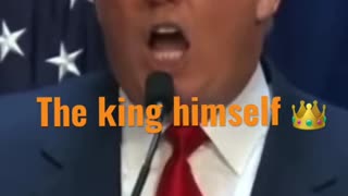 Best Trump Moment