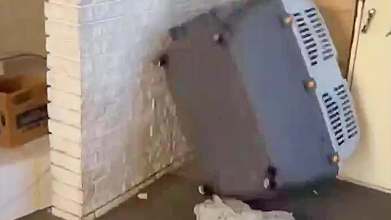 Dog Runs Crashing Full Speed Into Crate Flipping It Over HILARIOUS